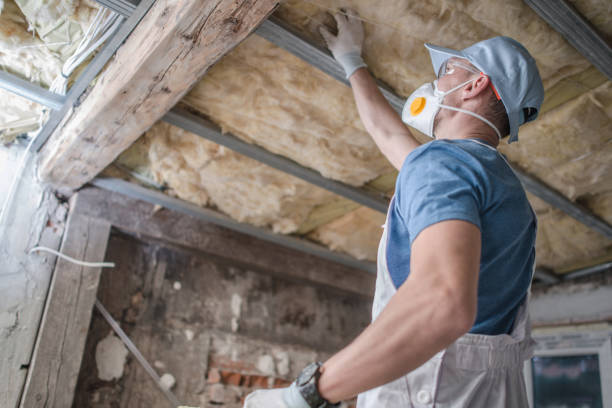 Best Specialty Insulation in Roaming Shores, OH