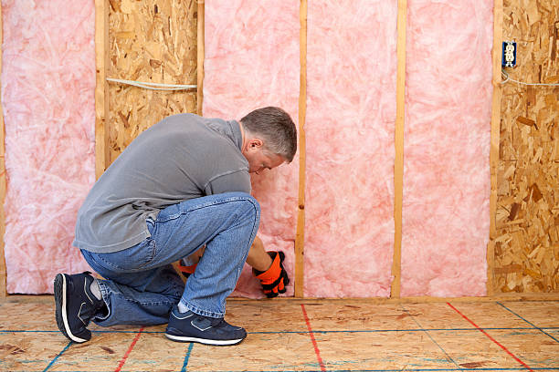 Best Commercial Insulation in Roaming Shores, OH